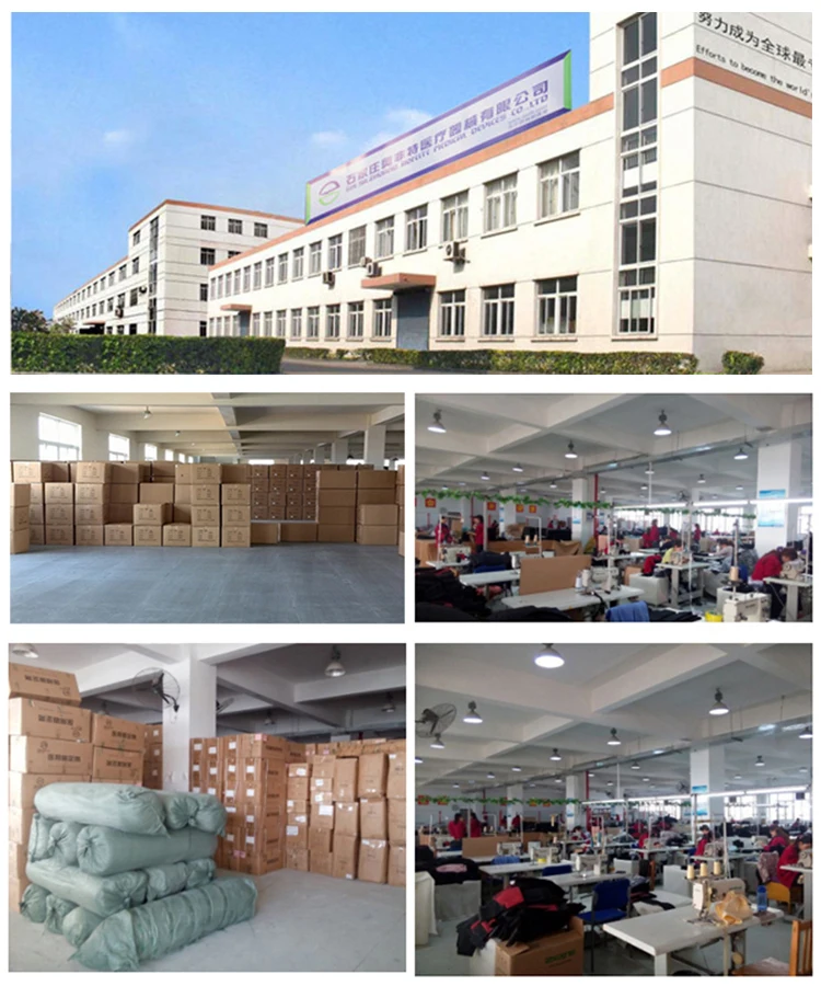 Aofit company3.jpg