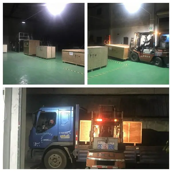 fruit and vegetable packing machine