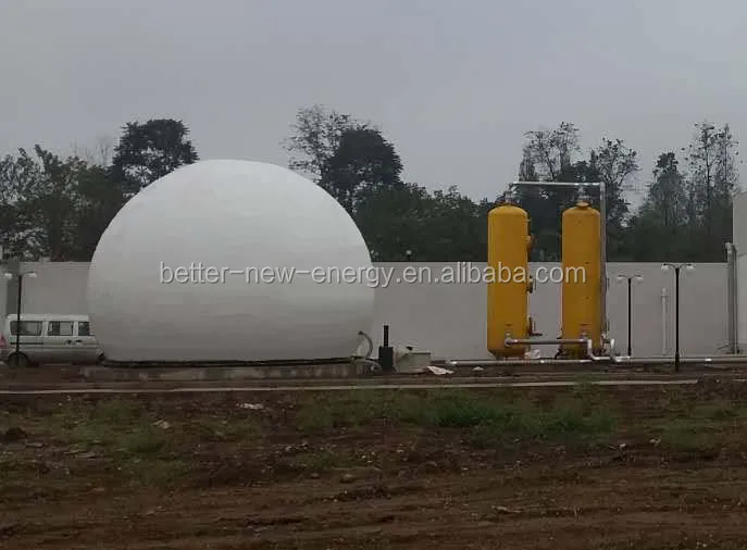 Biogas pretreatment biogas scrubber