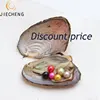 Discount price bulk natural cultured freshwater pearl wish live gift wholesale pearl oysters