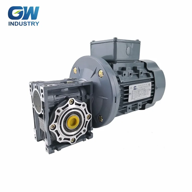 Gw Electric Rv Series Industrial 1 Hp 110v Worm Gear Motor With Ac