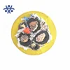 UL1650 Type W 2000 VOLT 2C 1/0 2/0 3/0 4/0 awg ICEA S-75-381 EPR insulation CPE jacket rubber mining cable