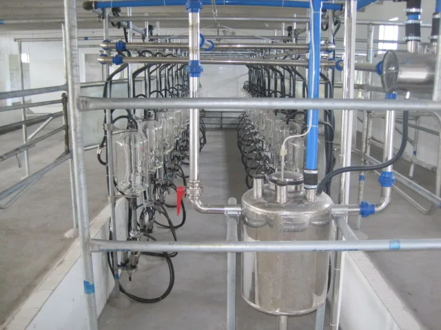 Most durable fully automatic cleaning milking parler for Dairy  Large milk collection equipment