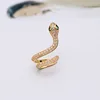 Personalized Unique S925 Sterling Silver Snake Stud Earring Pave 3A Cubic Zirconia CZ Snake Clip-on Earring