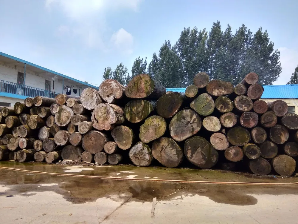 0.3mm bintangor face veneer