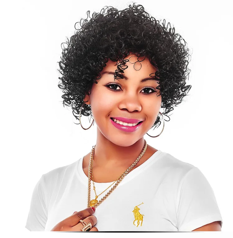 Alileader Best Quality Wholesale Afro Kinky Curly Hair Wigsynthetic 0889