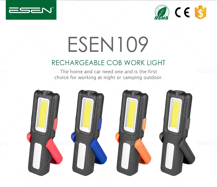 ESEN109-1.jpg
