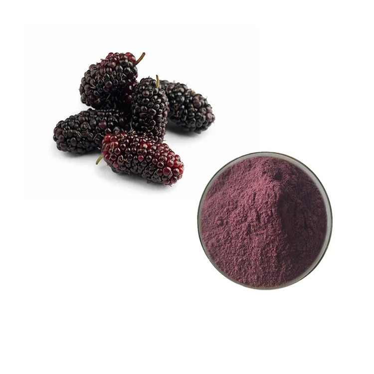 whosale pure natural white mulberry leaf extract