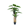 170cm tropical tree Restaurant mall home ornament use large rainbow plant