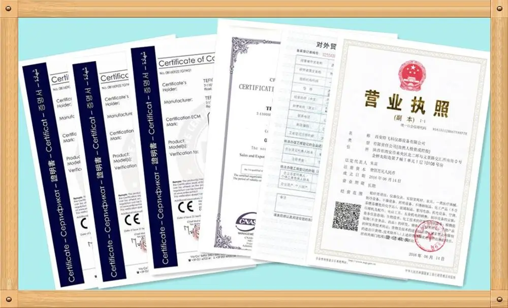 TEFIC certificte.jpg