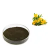 Sheerherb factory supply St John's Wort extract anti depression