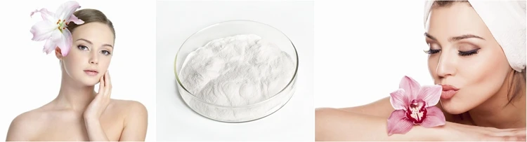 SOST Supply Customized Halal Approved Glutathione Powder Capsules.jpg