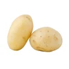 Natural Fresh Cheap Potato in China