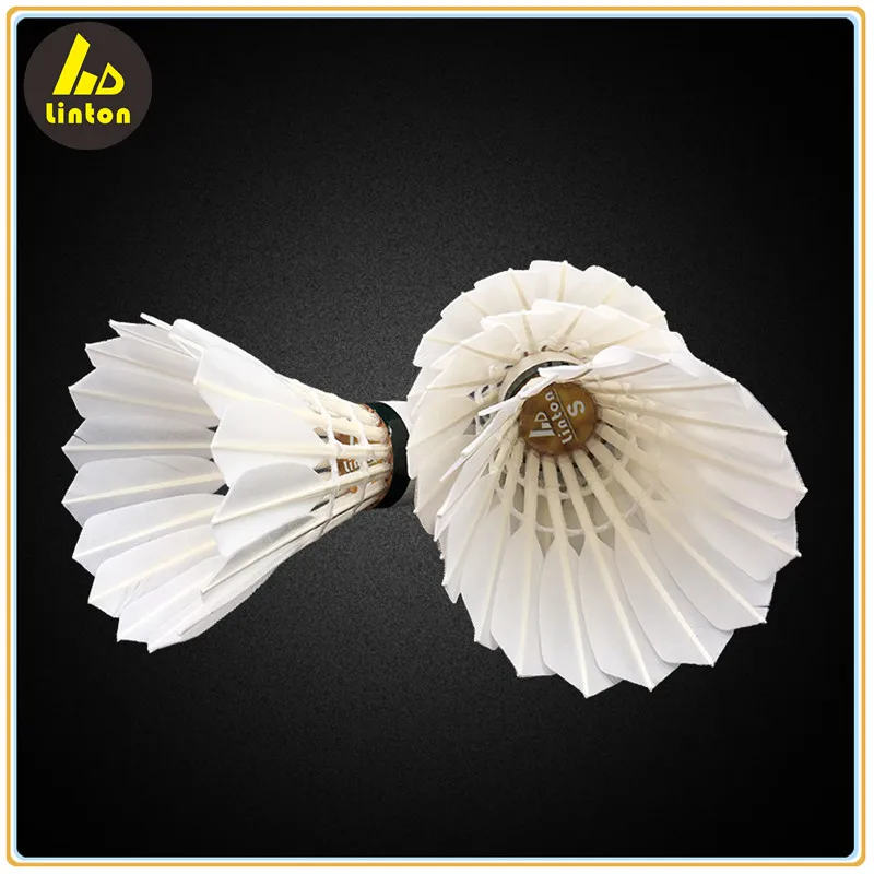 protech pt 10 shuttlecock