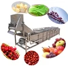 Selling automatic red jujube tomato bubble cleaning machine automatic fruit cleaning processing equipment