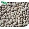 buy dried bulk middle white kidney bean