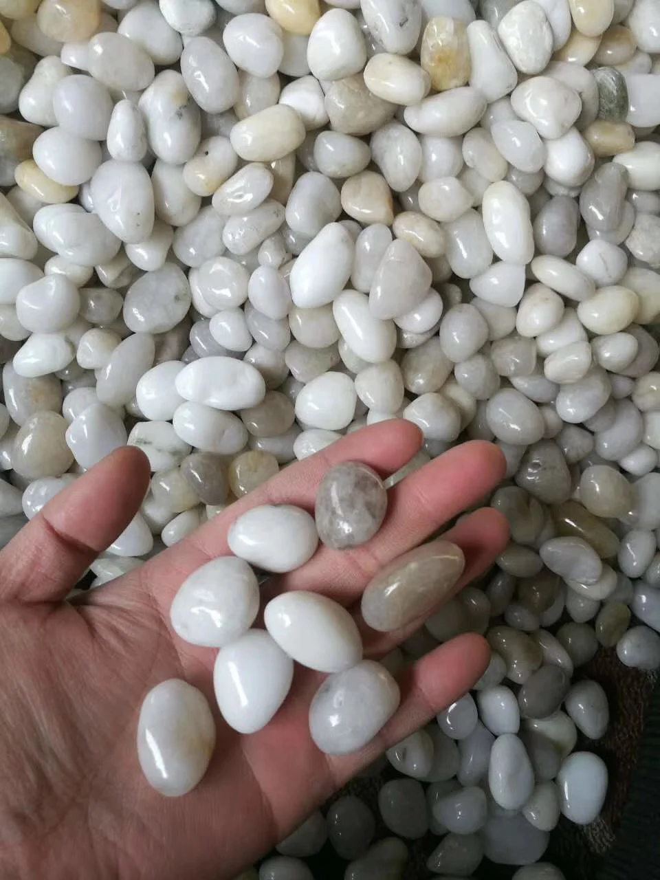 White Marble Pebbles,White Pebbles,Pebble Mosaic - Buy White Marble ...