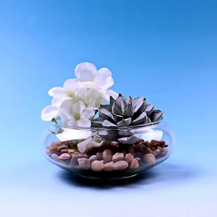 Blown Clear Round Glass Bowl Air Plant Terrarium Buy Terrarium,Glass