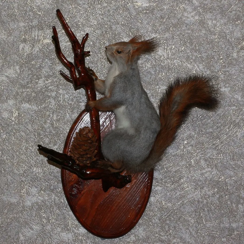 gray squirrel stuffed animal