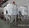ACE Hot Sales 60 Bbl Tank Beer Fermenter 200 Liters