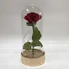 Enchanted Rose,Beauty and The Beast Red Rose Pre-Lit Silk Rose in Glass Dome (Metal Base) Glass Dome Metal Base