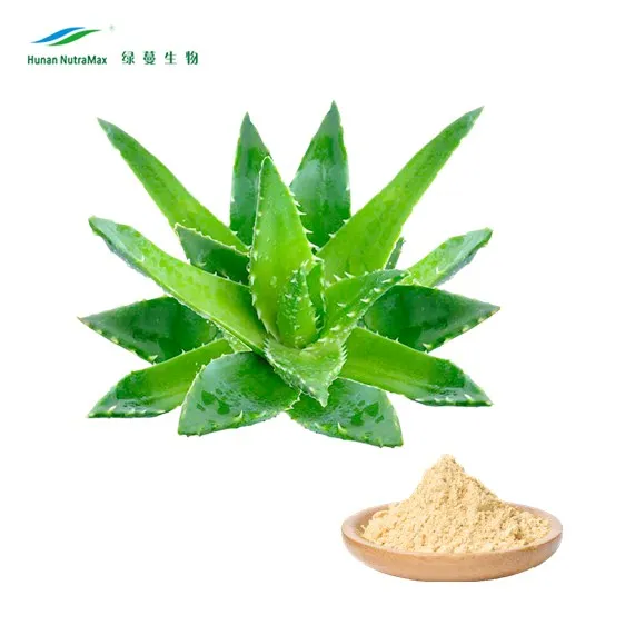 Aloe barbadensis leaf juice