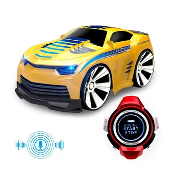 watch voice control car