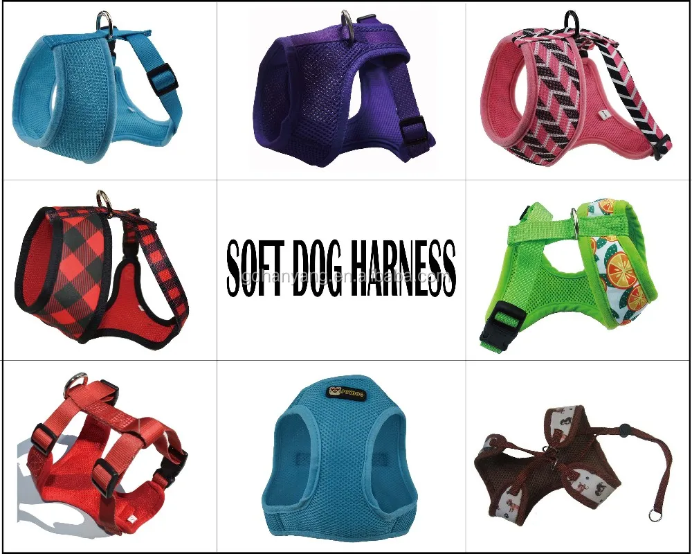 dog bark collar