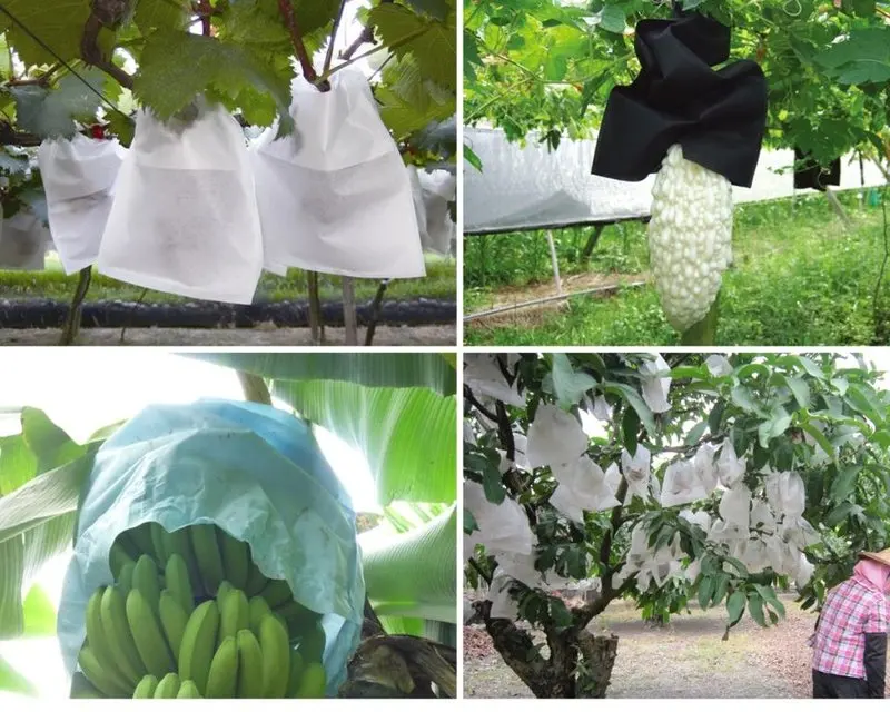 Mango Bag Fruit Growing Protection Wrapping Non Woven Fabric Bag Buy Banana Protection Cover