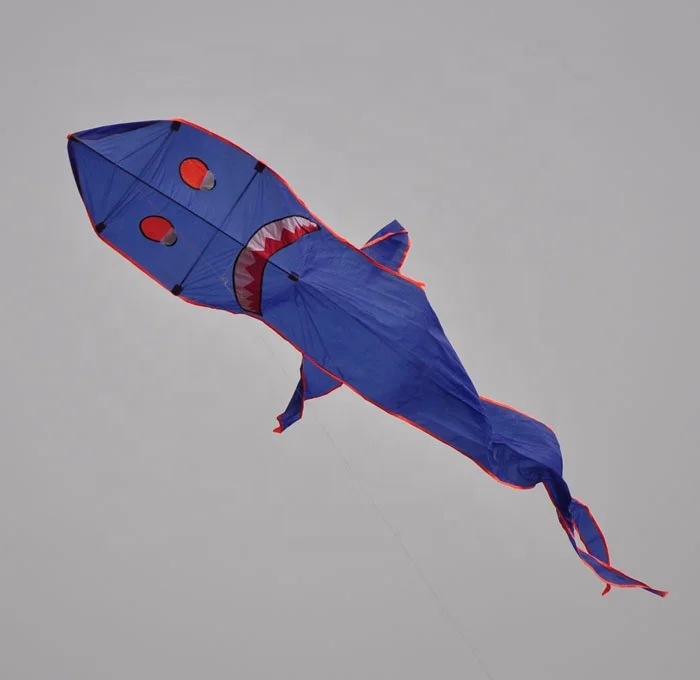 D&acirc;n gian c&aacute; mập c&aacute; diều thủ c&ocirc;ng diều