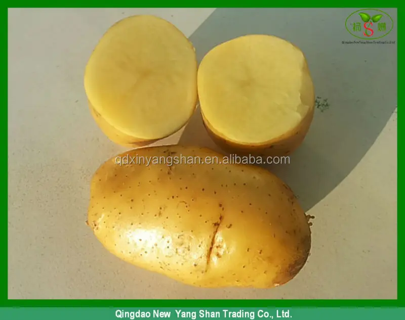 Wholesale Fresh Potatoes World Price Per Ton Buy World Price Of