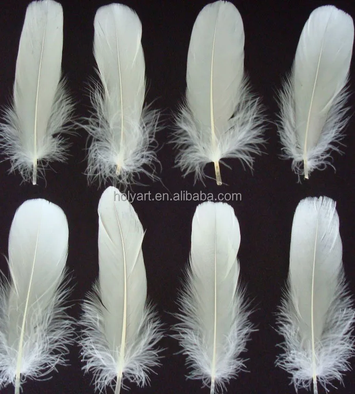 white feathers for sale in bulk