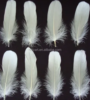 buy white feathers in bulk