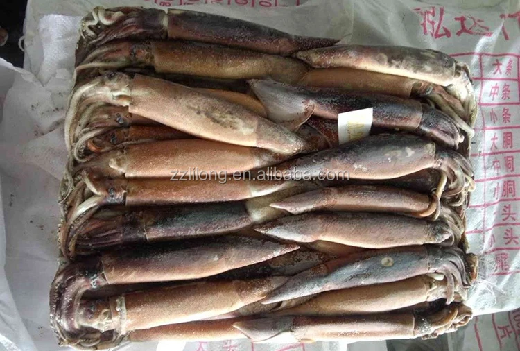 200 to 300g illex argentinua frozen squid price wholesale