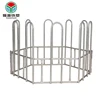 Direct selling hot dip or tube oval shaped steel pipe cattle farm galvanized round horse hay feeders