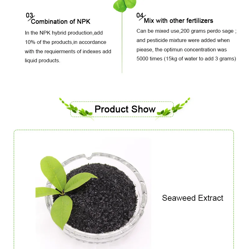 High Dissolution Rate High Concentrated Seaweed Extract Flake Natural Organic Fertilizer for Agriculture