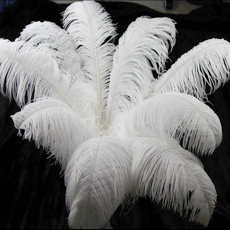 large feather plumes