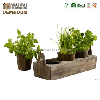 Woody 3 Plant Garden Tray Kitchen Herbs Windowsill Farmhouse Decor