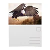 Free sample 3d print lenticular postcard for gift