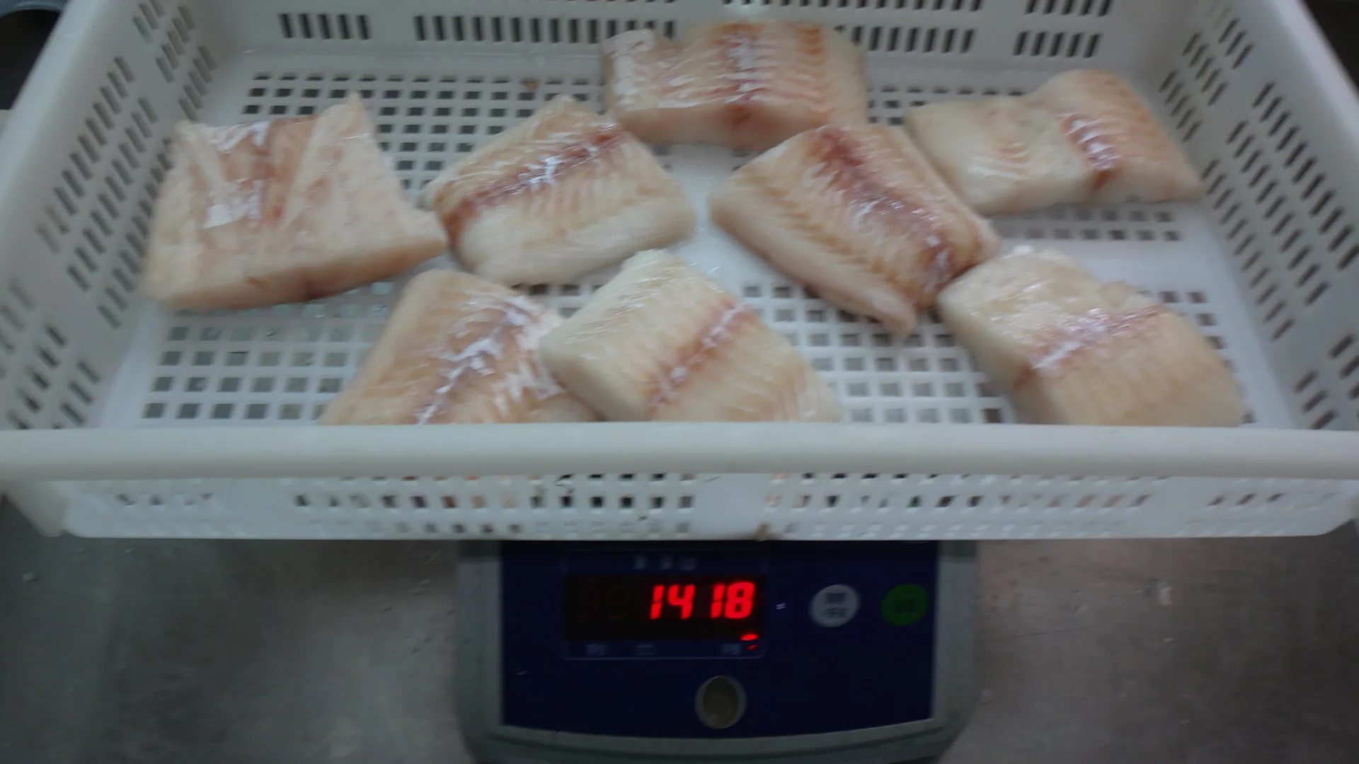 Bulk Package Frozen Haddock Portion(melanogrammus Aeglefinus) Buy