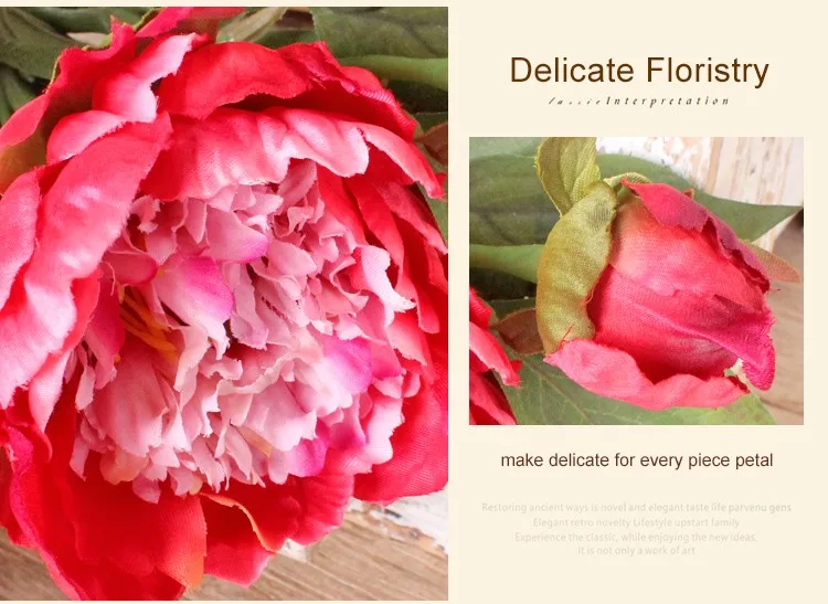 Wholesale Single Stem Fresh Cut Peony Flowers For Wedding Decoration