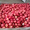 yantai fuji apples/grade 1/full blush redness