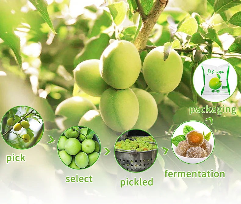 plum 2.jpg