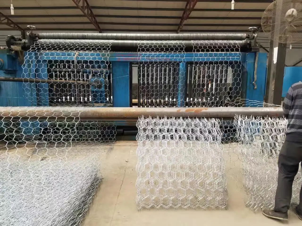 mmexport1479111919311