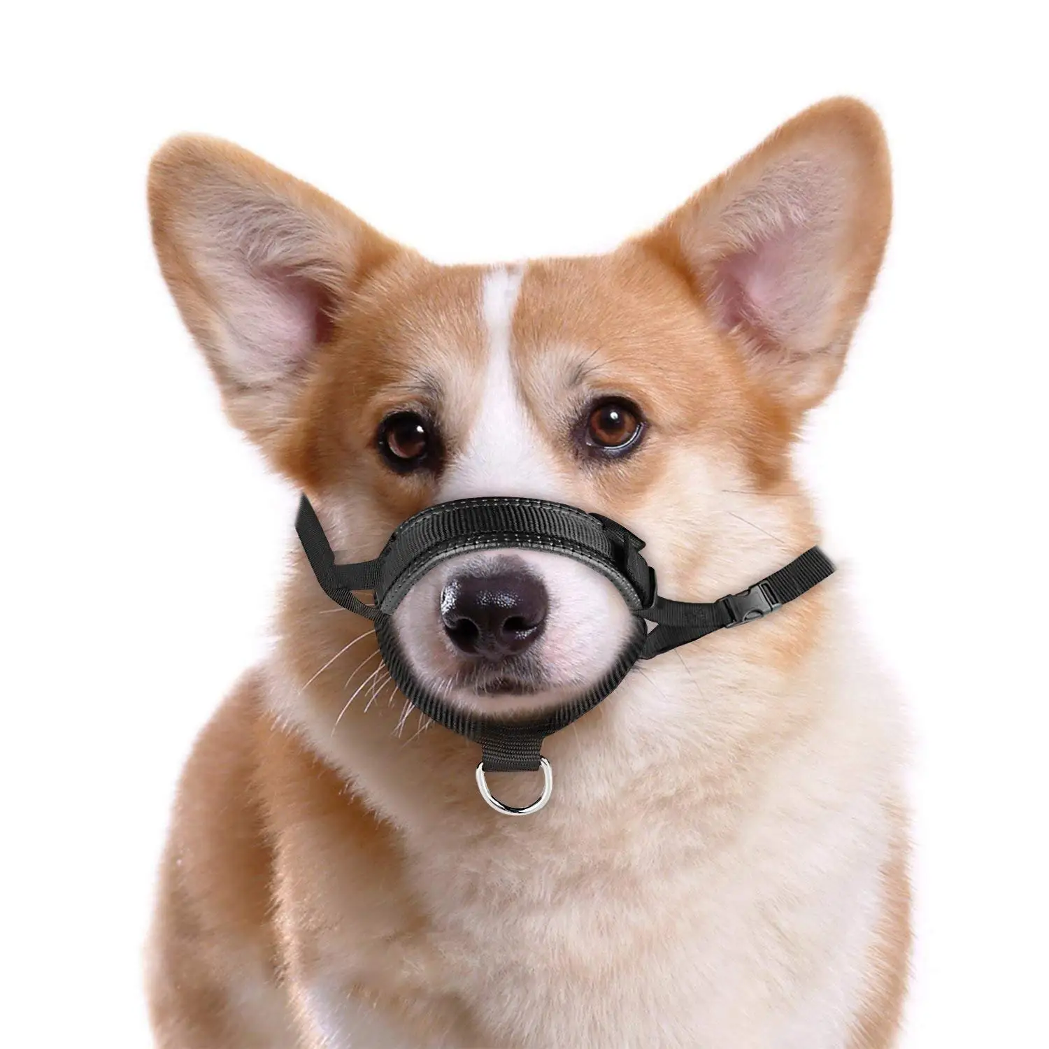 extra small dog muzzle