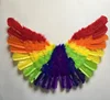 Large Angel Rainbow Feather Wings