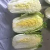 Chinese Green fresh 3KG up in mesh bag pack cabbage