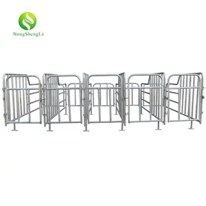 Galvanized Pig Swine Sow Gestation Farrowing Pig Crate For Pig Farming Equipment