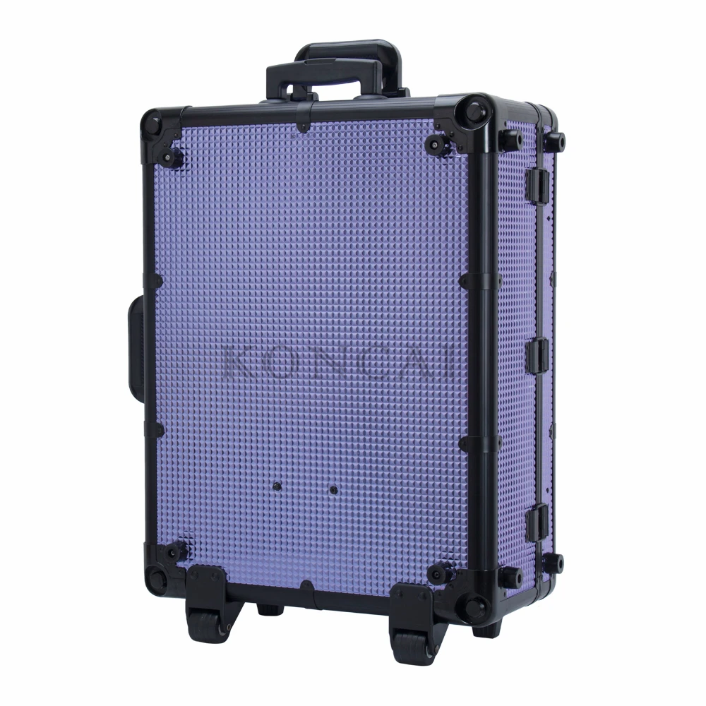 213 purple 05.jpg