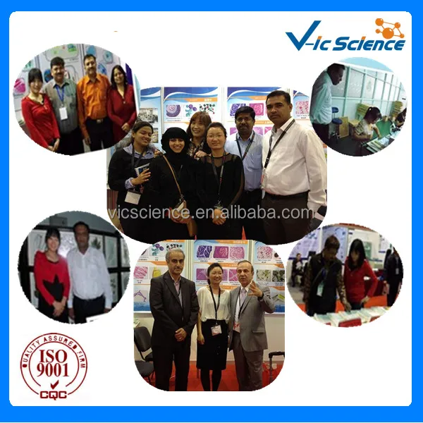 Sperm Counting Chamber.jpg